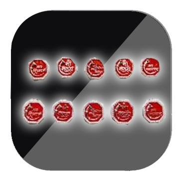 MAHARASHTRA PENDANT & RINGS